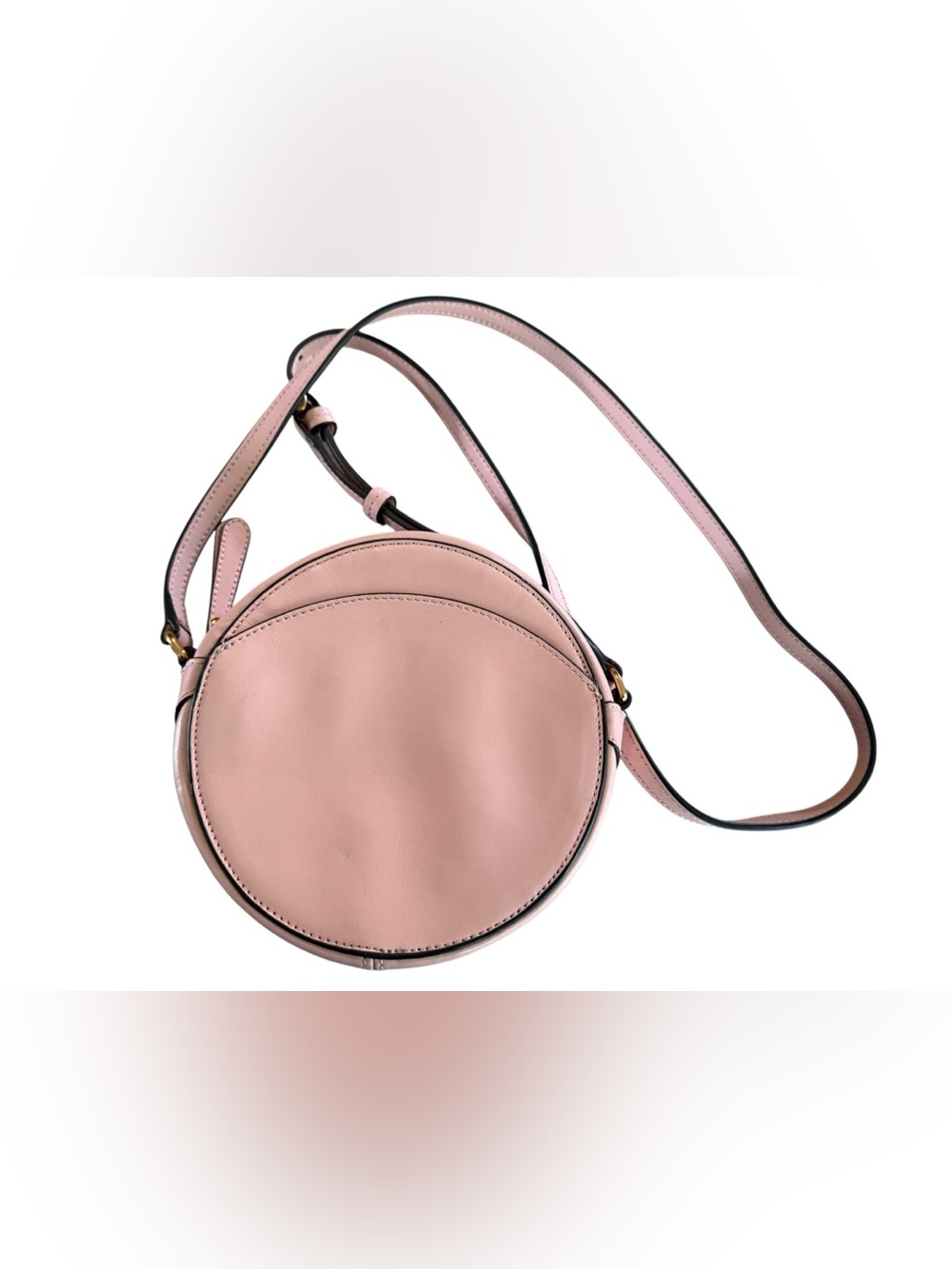 Banana Republic Pink Leather Circle Crossbody NWOT